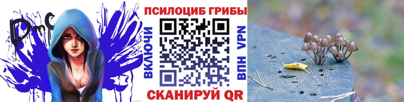 Псилоцибиновые грибы MAGIC MUSHROOMS  mega tor  Октябрьск 